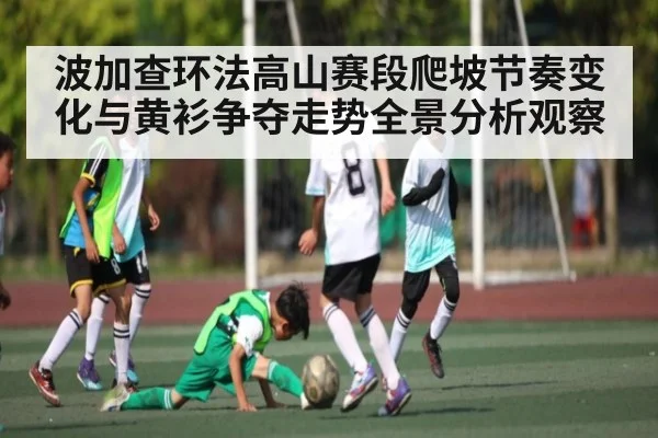 波加查环法高山赛段爬坡节奏变化与黄衫争夺走势全景分析观察